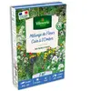 Coin ombre - 7 m² - Mélange de fleurs | Vilmorin Jardin