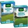 Pelouse Tropicale - Kikuyu - 500 g + Pelouse Tropicale - Cynodon Dacty...