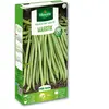 Haricot nain vert sans fil Majestik | Vilmorin Jardin
