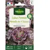 Laitue Pommée Merveille des 4 Saisons | Vilmorin Jardin