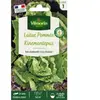Laitue Pommée Kinemontepas | Vilmorin Jardin