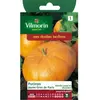 VILMORIN Potiron jaune gros de Paris