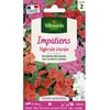 Plante - VILMORIN - Impatiens hybride variée - Massif - Eté - Mi-ombre