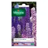 VILMORIN Pied d'Alouette delphinium vivace varié