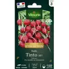 VILMORIN Radis Tinto HF1