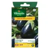 Vilmorin - Sachet graines Aubergine Bonica HF1