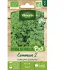 Vilmorin - Persil Commun 2 - bio