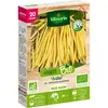 Haricot nain beurre FORTAL bio 20M Vilmorin
