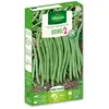 HARICOT NAIN A FILET SANS FIL OXINEL 2 VILMORIN