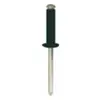 TOPCAR RESTAGRAF - Rivets rivets epanouis peints - 4927