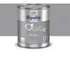 Peinture O'Pur Satin Gris Galet 2L Ripolin
