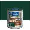 RIPOLIN Peinture Bois Satin Haute Protection 10 ans qui Protège et Mag...