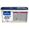 RIPOLIN Peinture Couleur Velours Pour Murs, Boiseries Radiateurs - Gris Galet