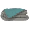 TOISON D'OR HUDSON Couette légère Microfibre 200g/m² 220x240cm Galet & Lac