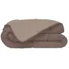 TOISON D'OR HUDSON Couette légère Microfibre 200g/m² 220x240cm Taupe & Lin