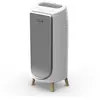 Rowenta Purificateur d'air Rowenta Intense Pure Air Home PU6180F0