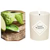 MY JOLIE CANDLE - Santal Bergamotte Bougies 75 g female
