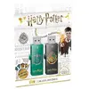 EMTEC Clé USB M730 Harry Potter