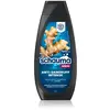 Schwarzkopf SHAMPOOING CHEVEUX ANTI-DESSUS 400ML SCHAUMA