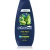 Schwarzkopf Schauma MEN shampoing pour homme à usage quotidien 400 ml