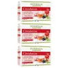 Herbesan Bio Infusion Circulation Saveur Cassis Framboise n°9 20 sache...