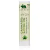 Avon Cannabis Sativa Oil Nourish & Calm baume à lèvres à l'huile de ch...
