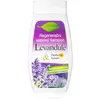 Bione Cosmetics Lavender shampoing régénérant pour tous types de cheve...