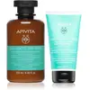 Apivita Oily Roots & Dry Ends ensemble pour cuir chevelu gras et point...