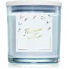 DW Home Winter Wonderland Flurries & Fun bougie parfumée 374 g