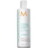 Après-Shampooing Disciplinant                                - Moroccanoil