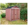 Palram - Canopia Abri de jardin Skylight Pent Ambre