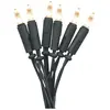 Guirlande lumineuse Star Trading 'p-led Indoor', verte, 20 p-led, 2,85...