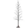 STAR TRADING LED arbre décoratif Tobby Tree IP44 brun hauteur 150cm