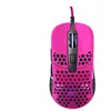 CHERRY XTRFY M42 - Souris - optique - filaire - USB - rose - Pour la vente au détail