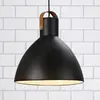 Markslöjd Eagle - Suspension dôme d'intérieur à 1 ampoule noire, E27 - Markslojd