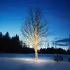 Markslöjd Guirlande lumineuse Chrissline Extra 50 LED 2.850K