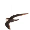 Wildlife Garden - Décobird Martinet noir suspendu