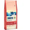 Bozita Dog Purely Adult Large Grain Free saumon, boeuf pour chien - 11 kg