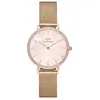 Daniel Wellington - Montres Montres femme 1 pieces female