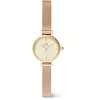 Montre Femme Daniel Wellington Petite Mini-DW00100741