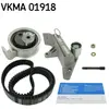 Kit De Distribution Skf Vkma01918