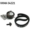 Kit De Distribution Skf Vkma04221