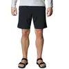Houdini Sportswear Wadi Shorts - Short randonnée homme True Black L
