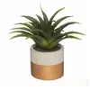 Plante verte artificielle Aloe Vera 28cm avec pot bicolore - Cuivre - ...