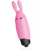 Bullet Vibrant O-Pet Lapin