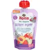 Holle Gourde Pouchy Pomme Pêche Fruits des Bois Bio +8m 100g