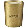 Lalique - Bougie Le Désert - Muscat ,Oman Bougies 190 g unisex