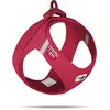 Harnais pour chien Curli Air-Mesh Rouge XL PN2801