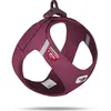 Harnais pour chien Curli Air-Mesh Violet XL PN2808