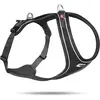 curli Belka Comfort Harness Black XL